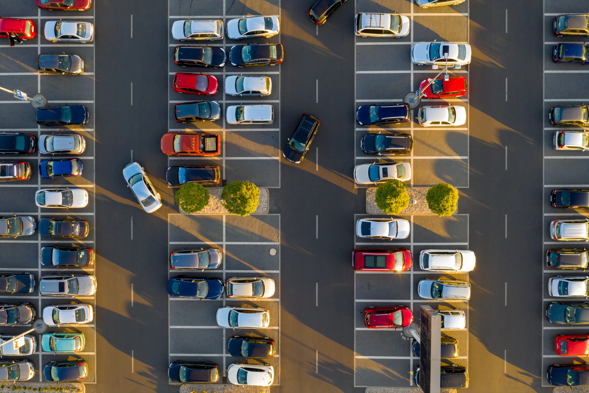 Fleet vehicles