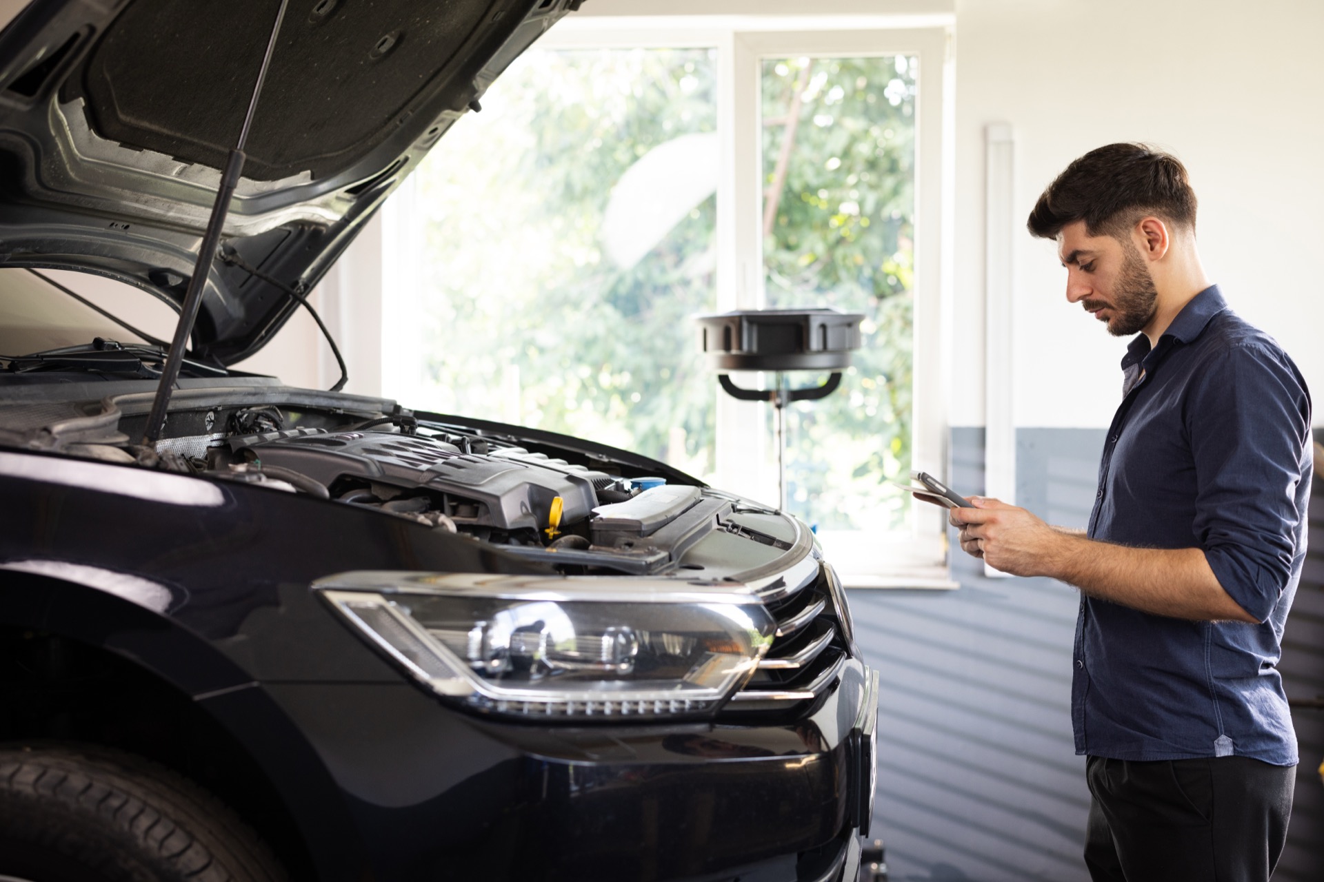 Vehicle Inspection Background